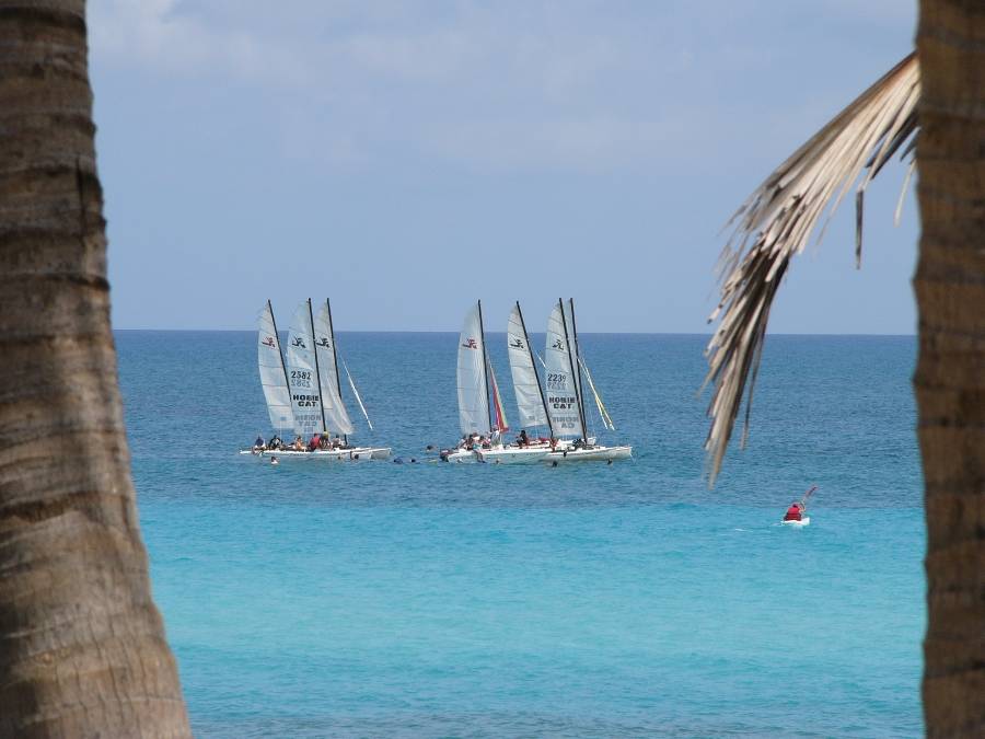 Der Strand des Sol Palmeras