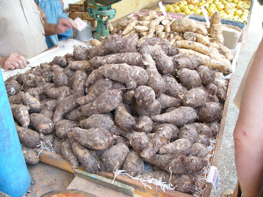 Der Strand des Sol Palmeras