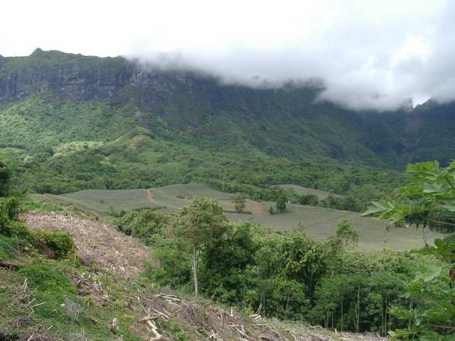 09080037.jpg